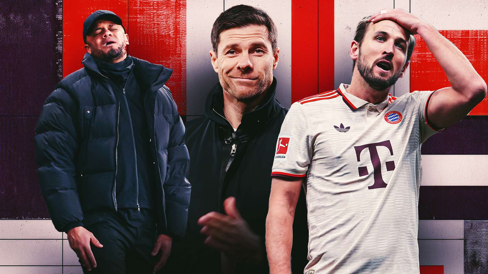 維奇的堅定 維奇的堅定